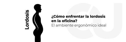 ¿Cómo enfrentar la lordosis en la oficina? El ambiente ergonómico ideal