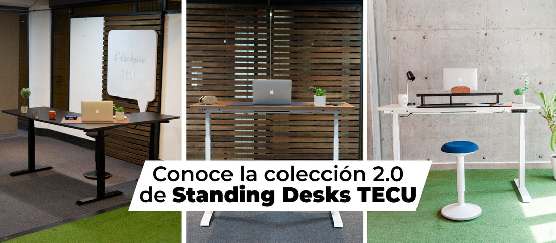 Conoce la colección 2.0 de Standing Desks TECU