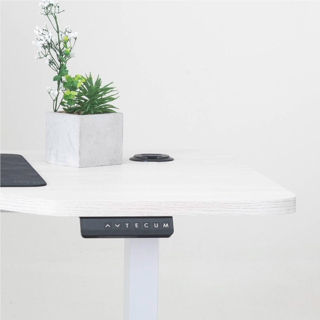 Standing Desk TECU PRO+