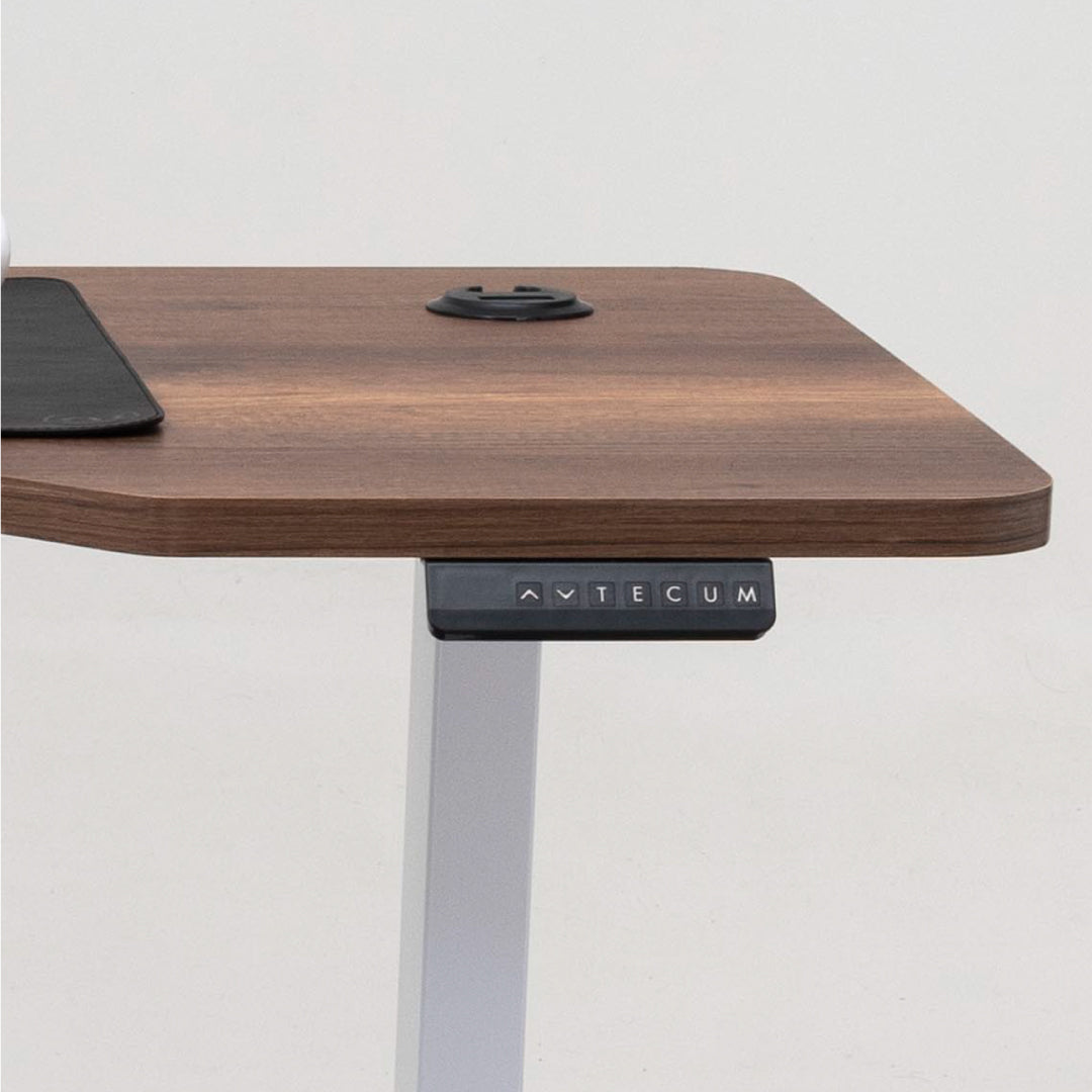 Standing Desk TECU PRO+