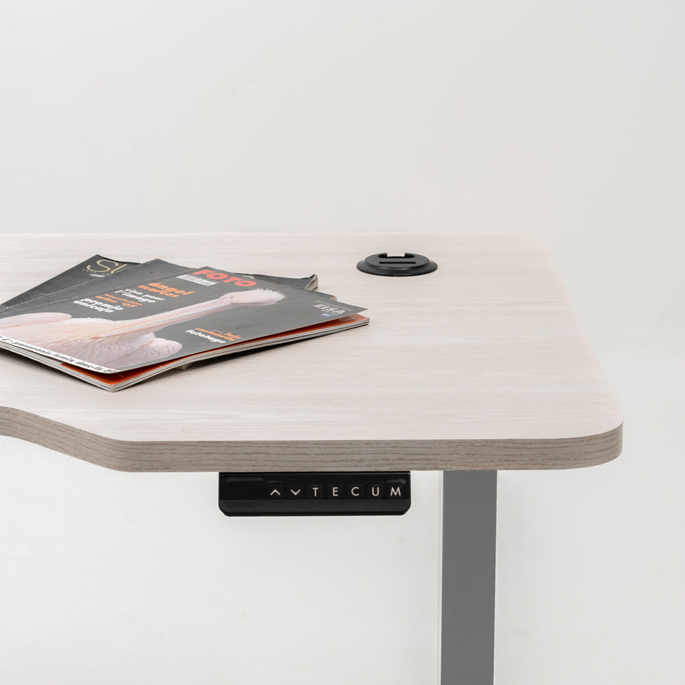 Standing Desk TECU PRO+