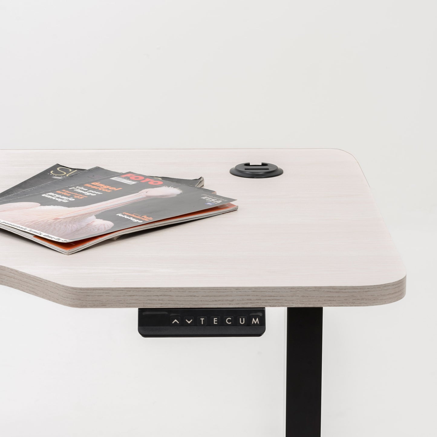 Standing Desk TECU PRO+