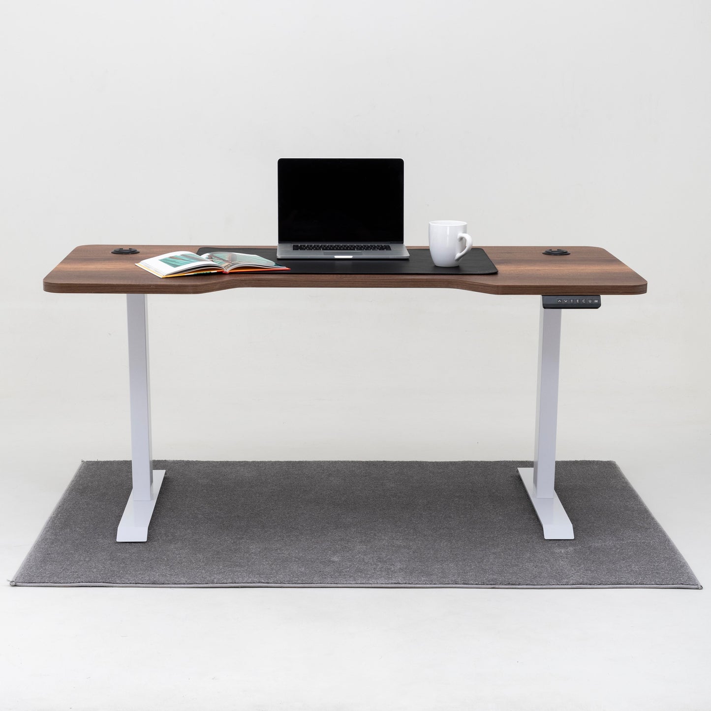 Standing Desk TECU PRO+