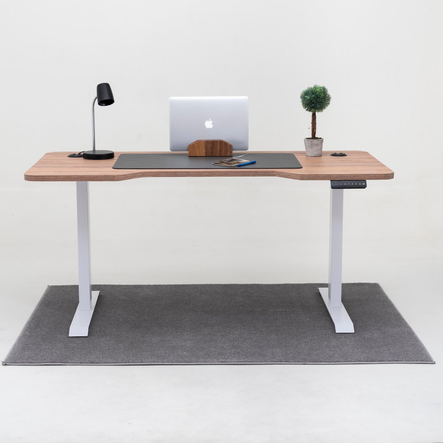 Standing Desk TECU PRO+