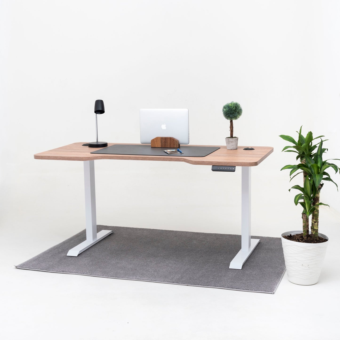 Standing Desk TECU PRO+