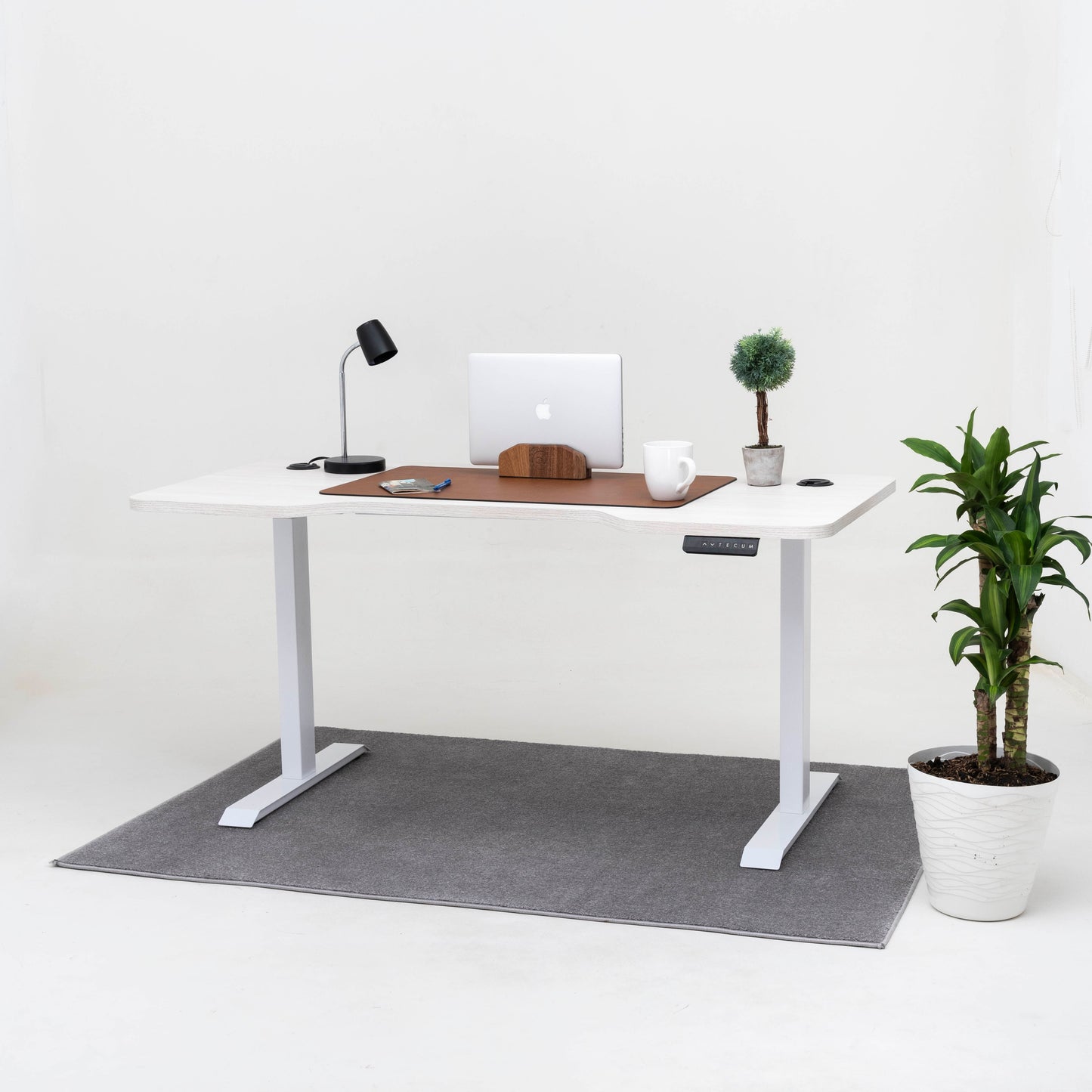 Standing Desk TECU PRO+