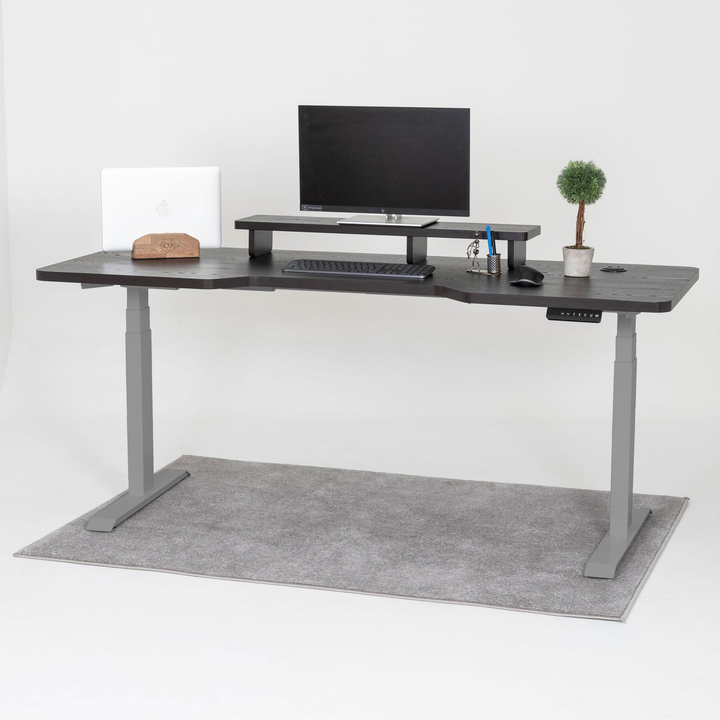 Standing Desk TECU PRO+