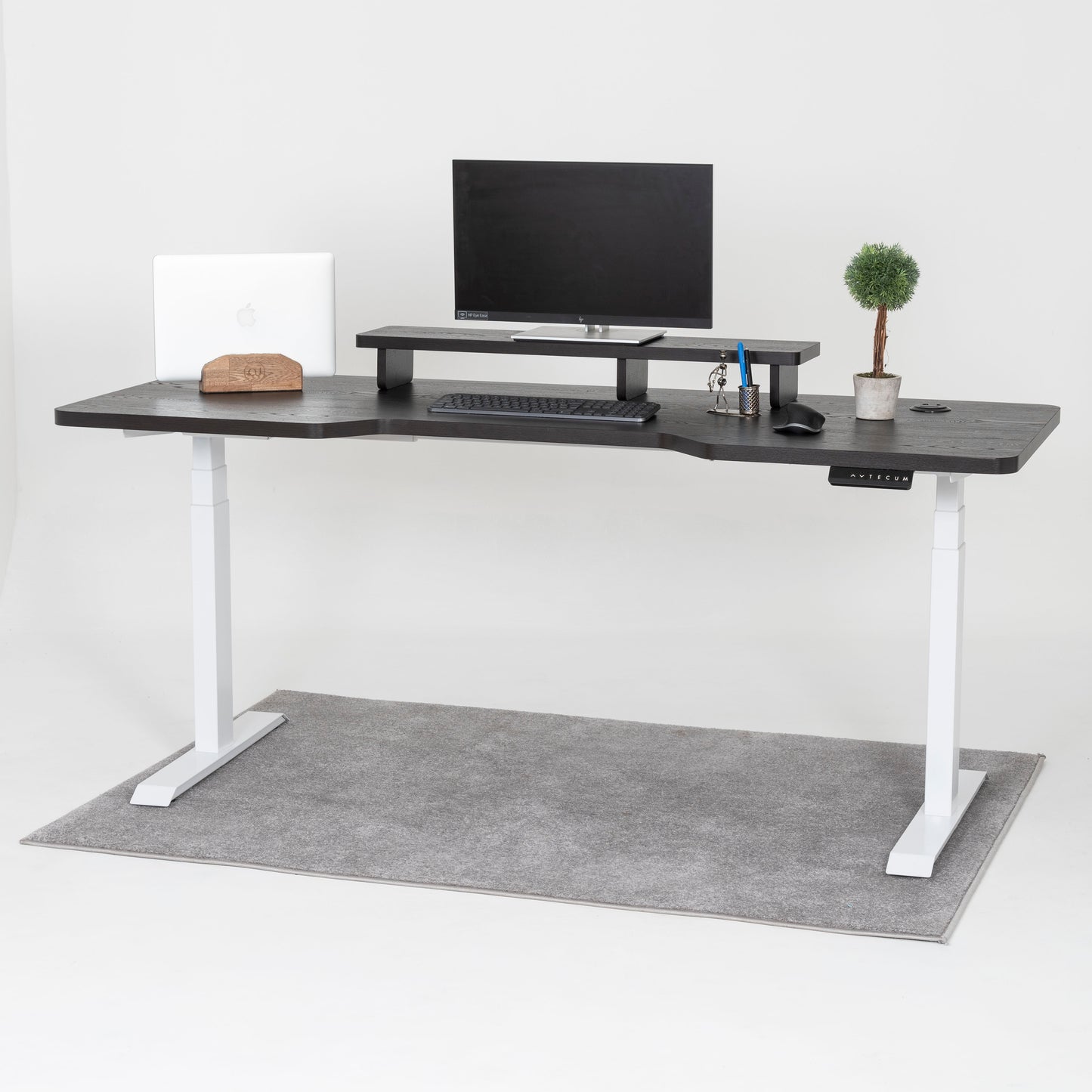 Standing Desk TECU PRO+