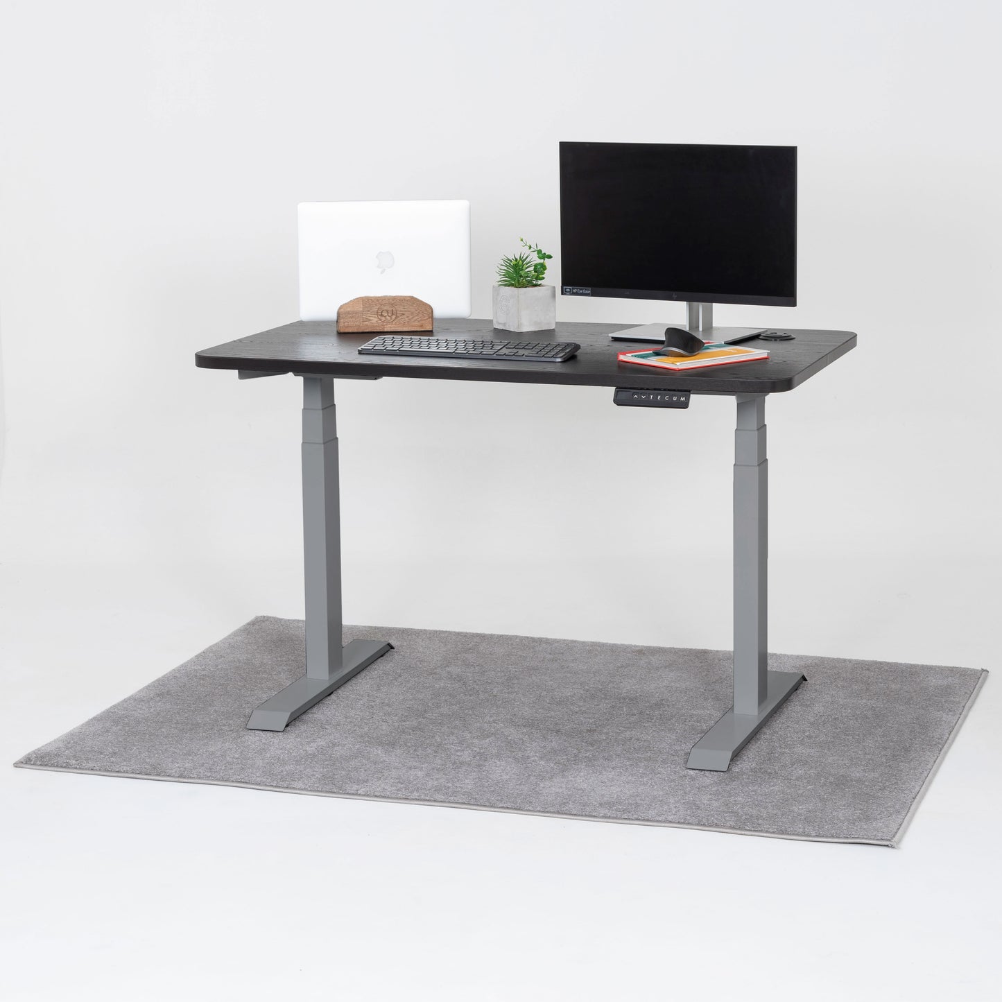 Standing Desk TECU PRO