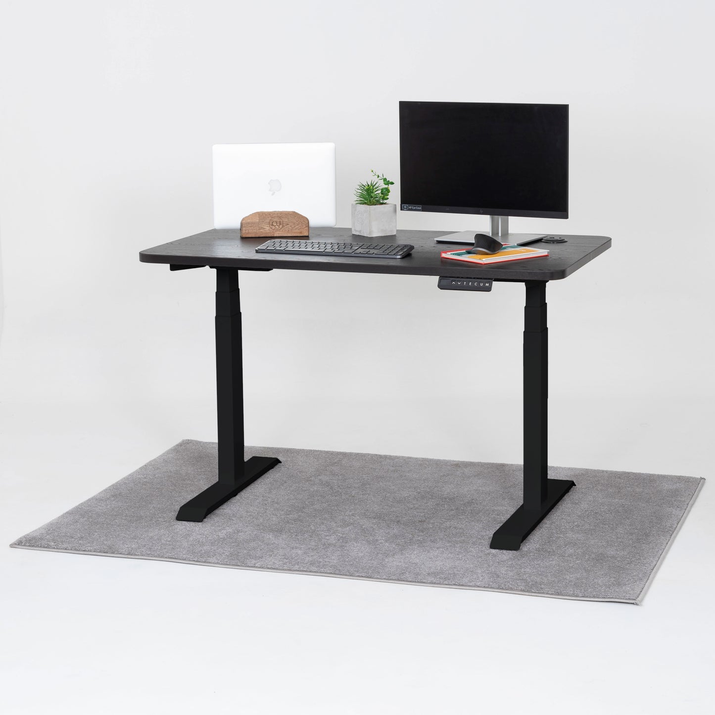 Standing Desk TECU PRO