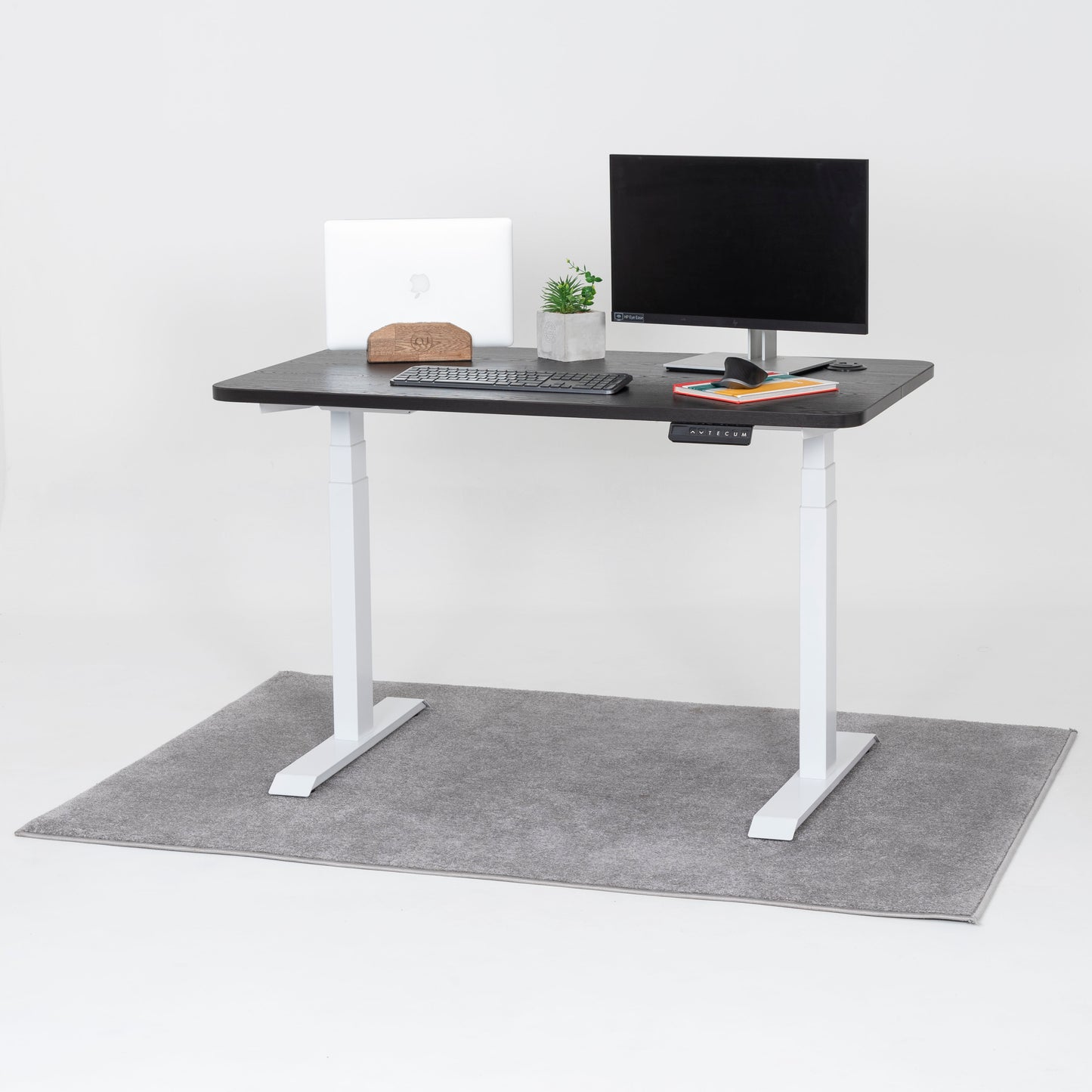 Standing Desk TECU PRO