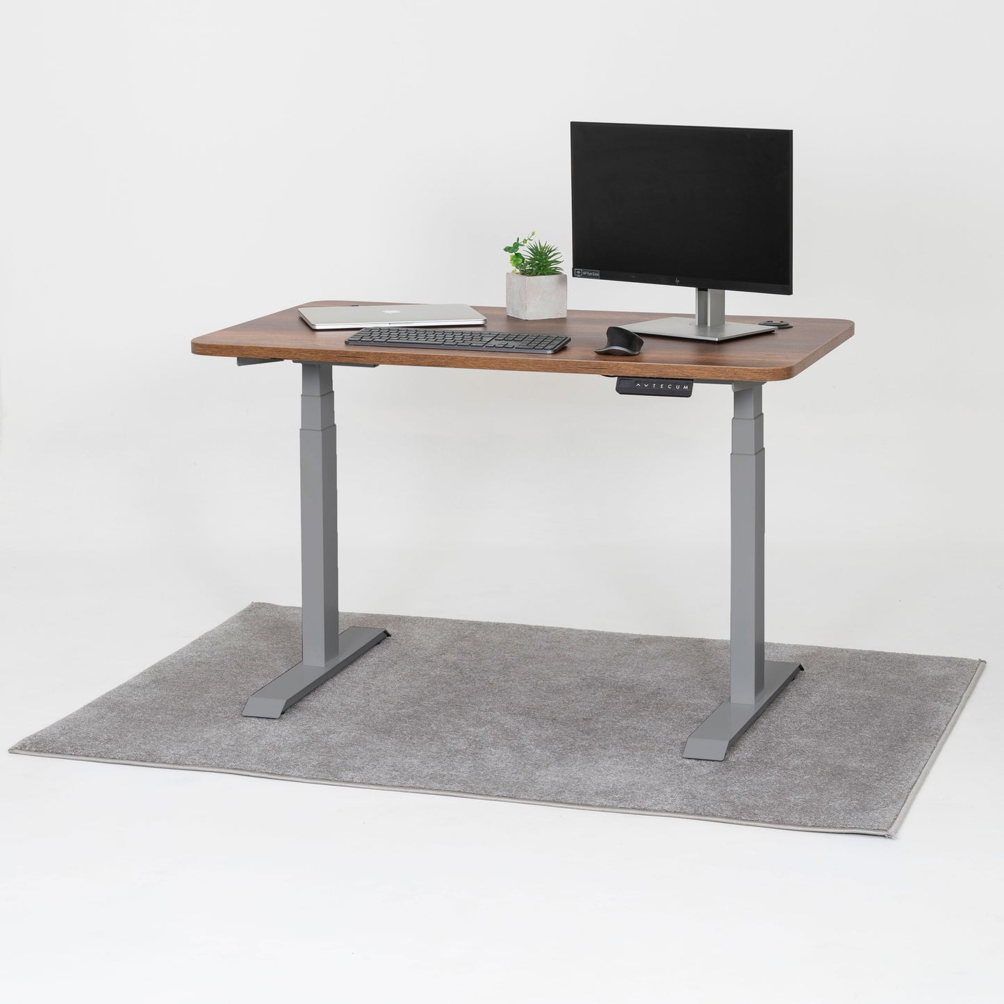 Standing Desk TECU PRO