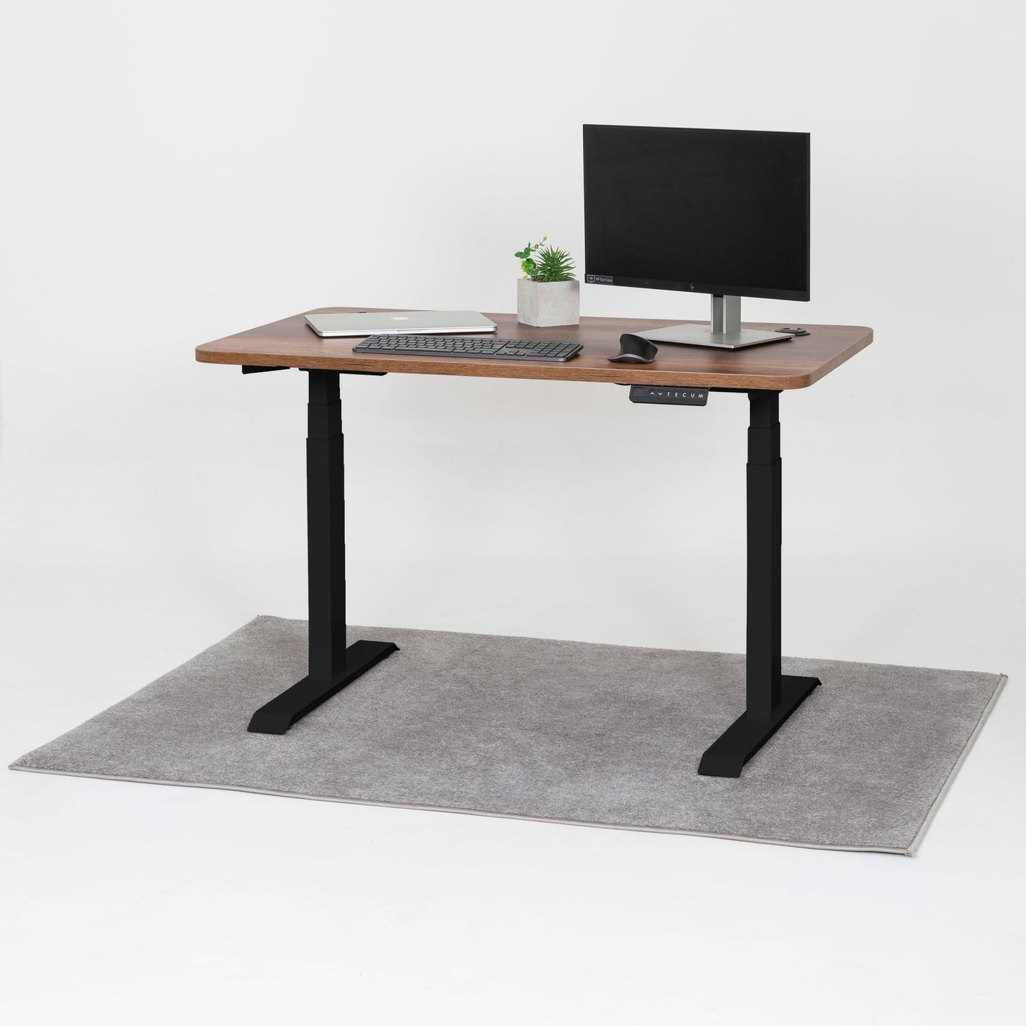 Standing Desk TECU PRO