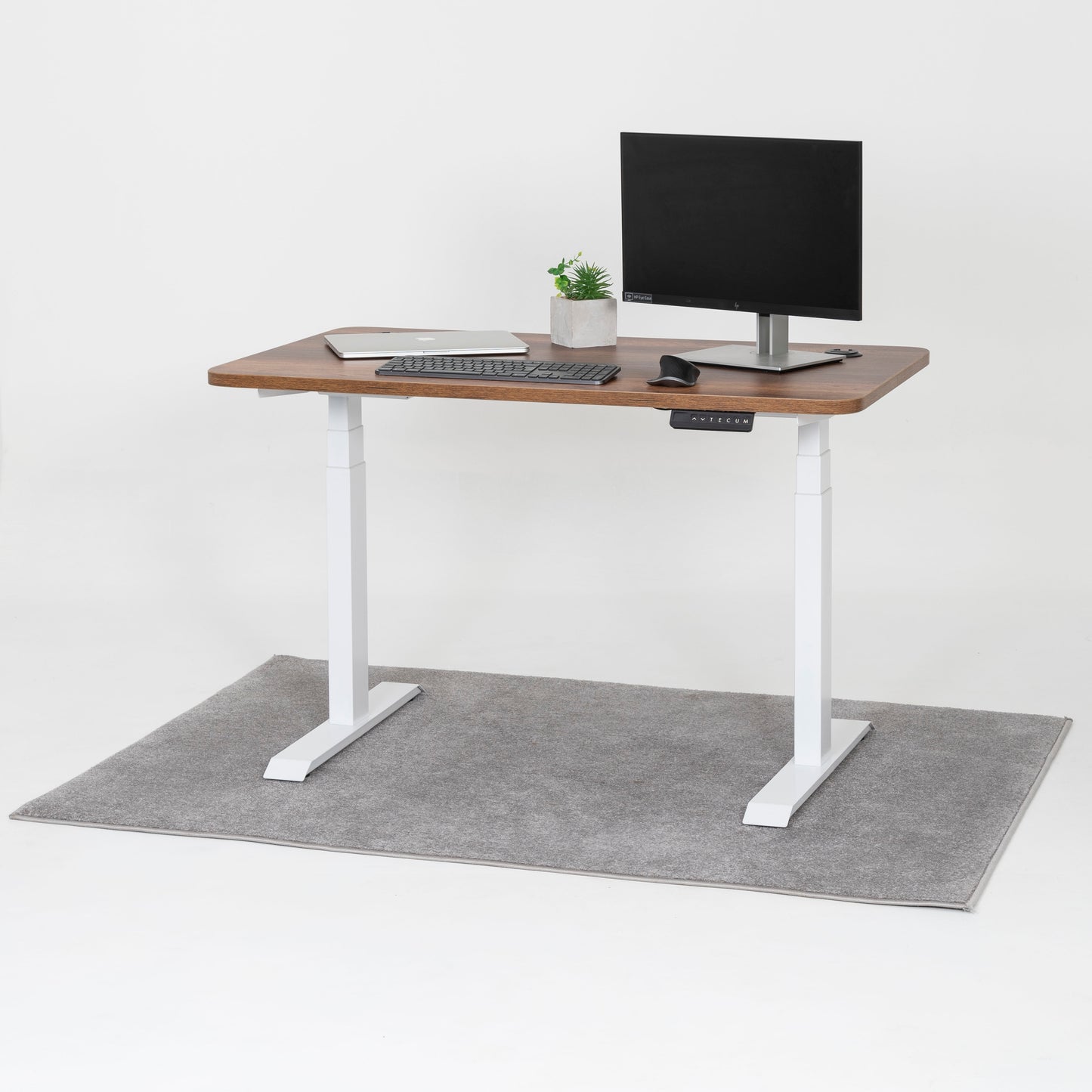 Standing Desk TECU PRO