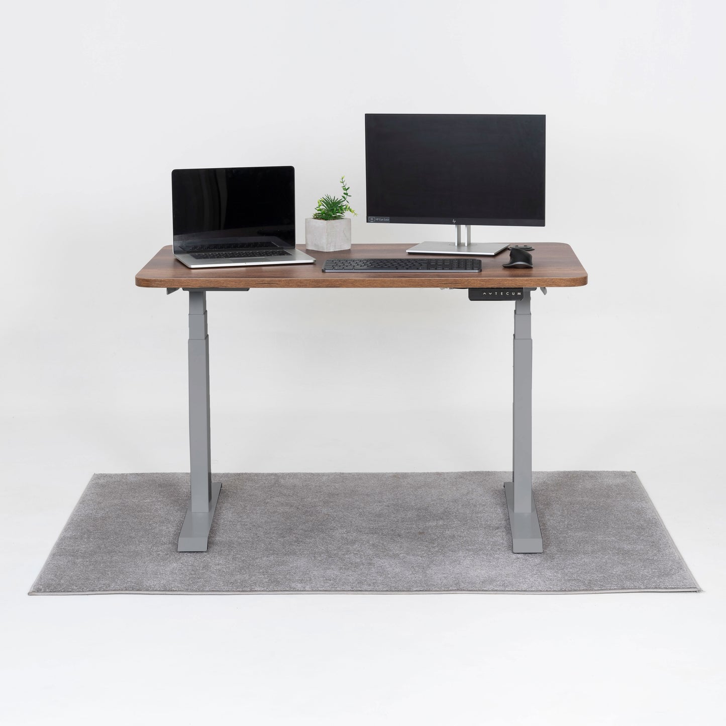 Standing Desk TECU PRO