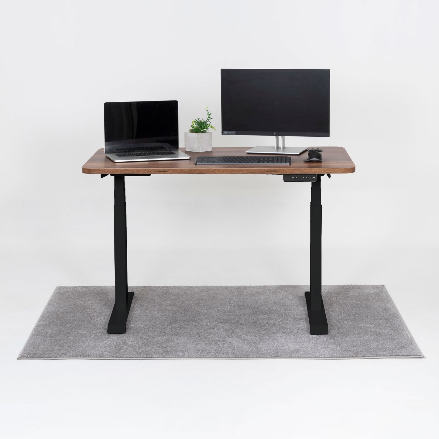 Standing Desk TECU PRO