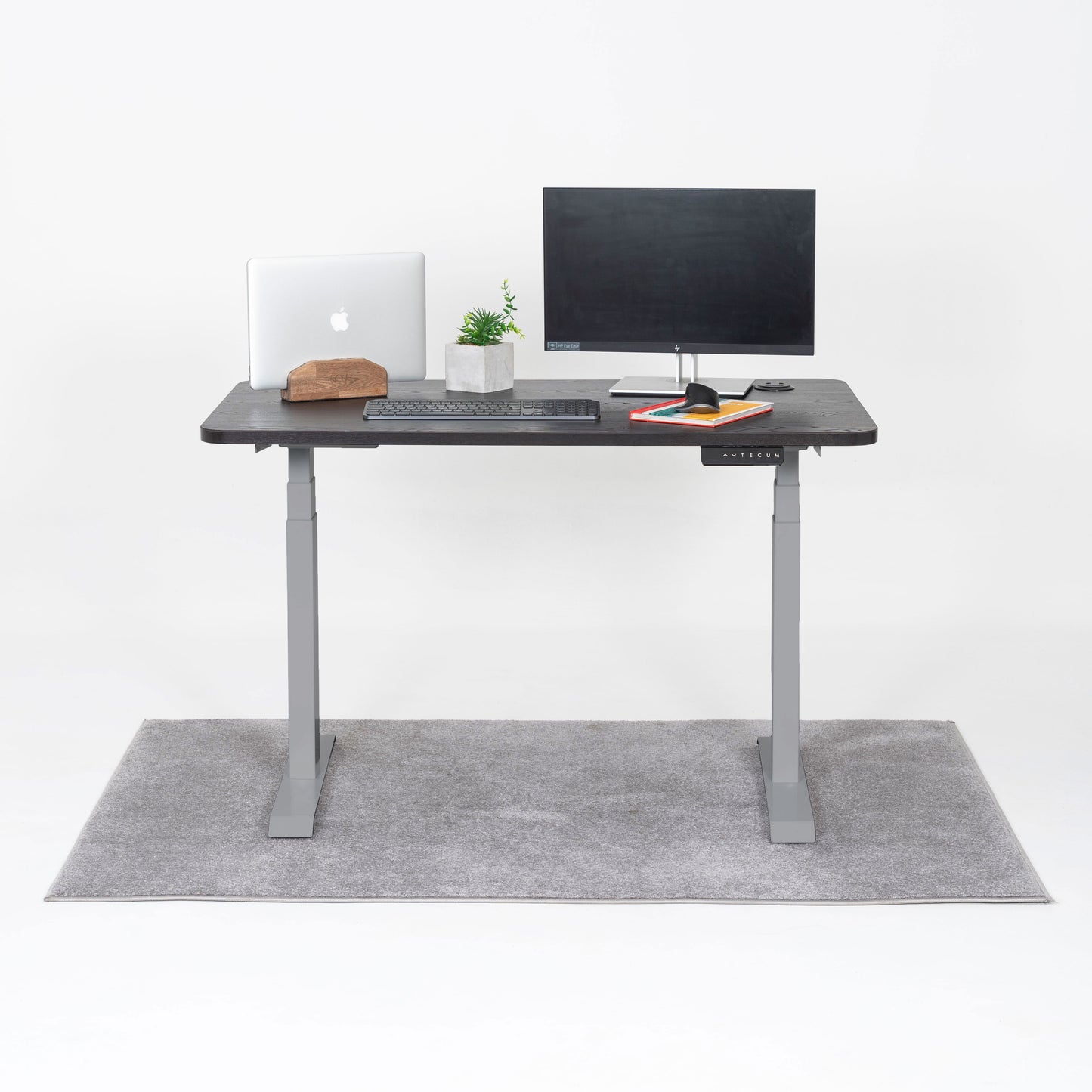 Standing Desk TECU PRO