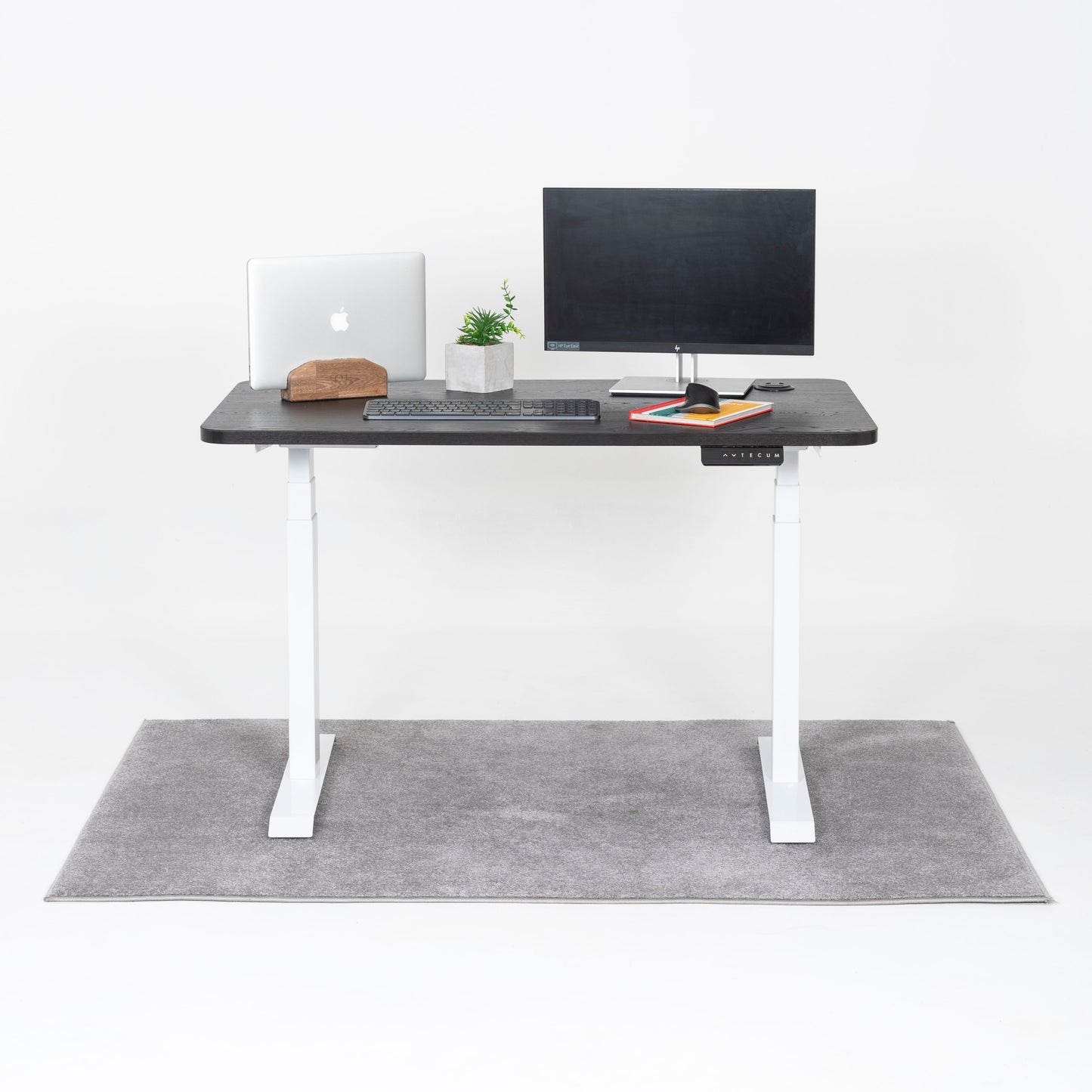 Standing Desk TECU PRO