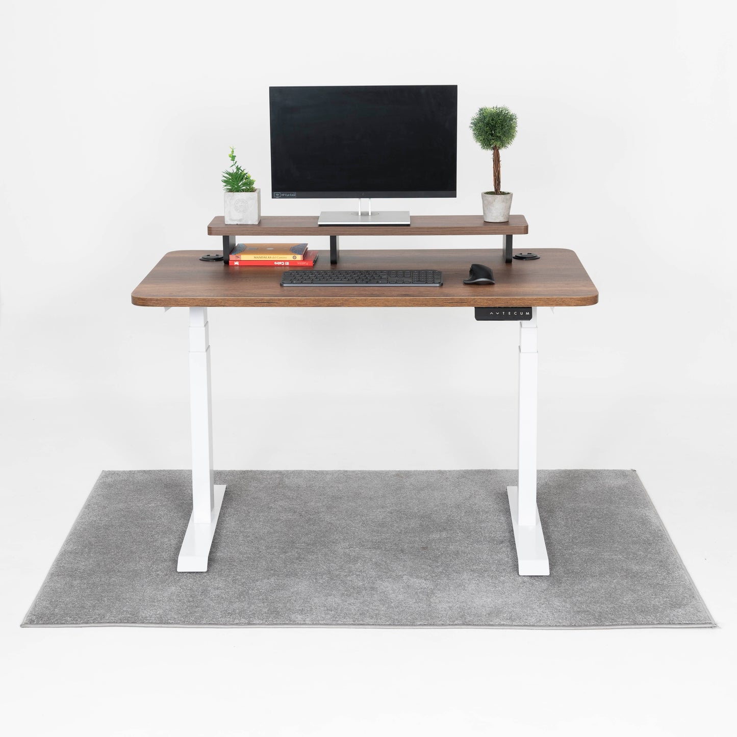 Standing Desk TECU PRO