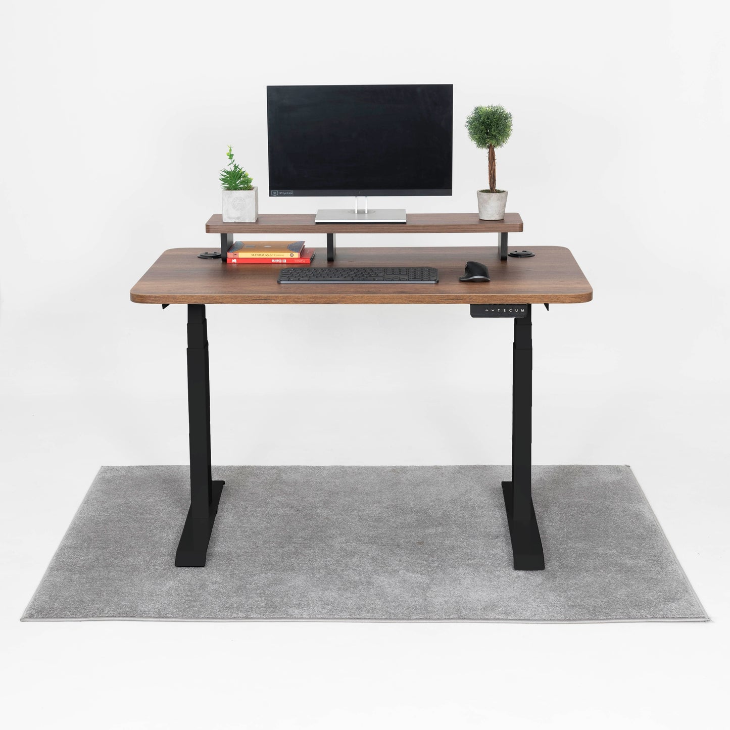 Standing Desk TECU PRO