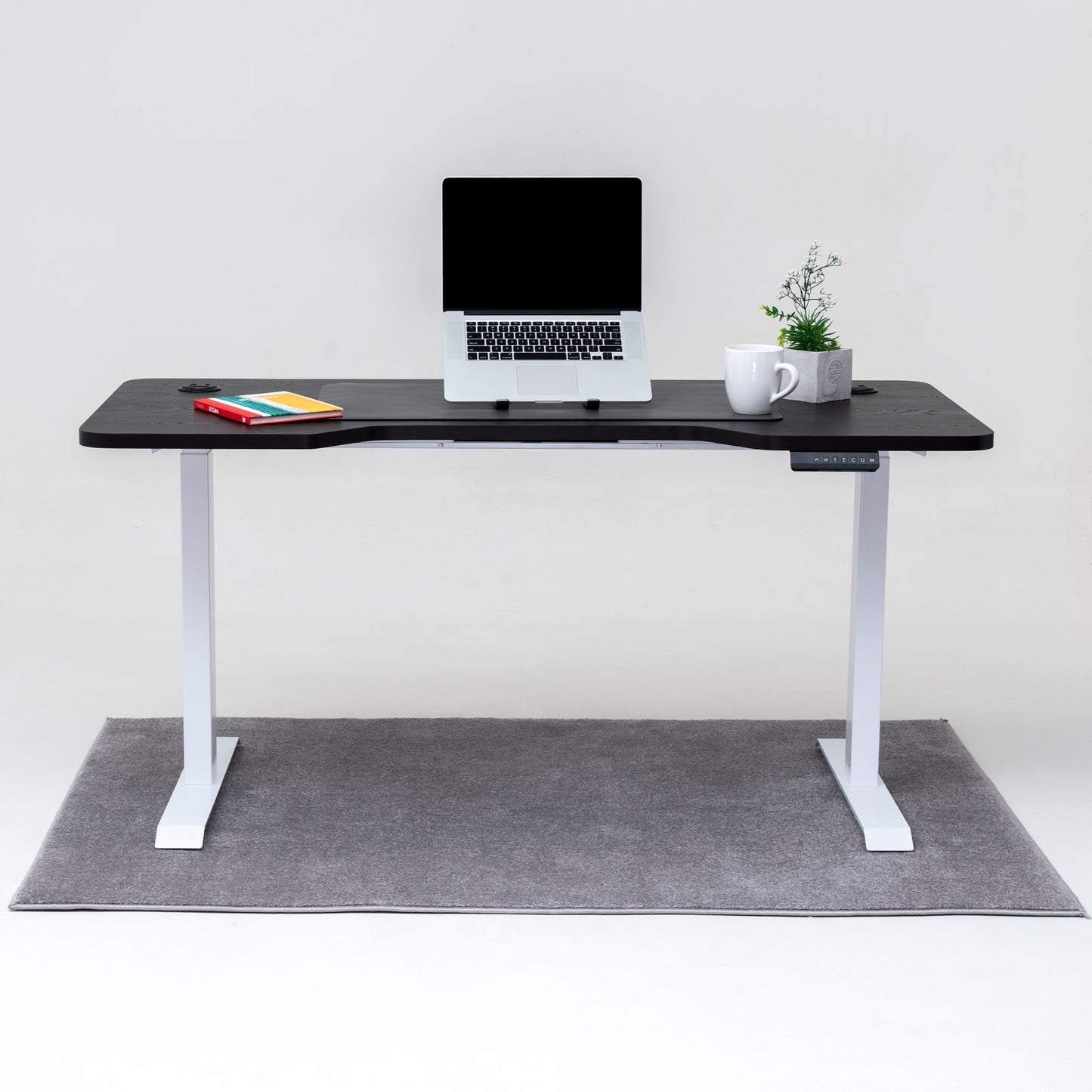 Standing Desk TECU PRO