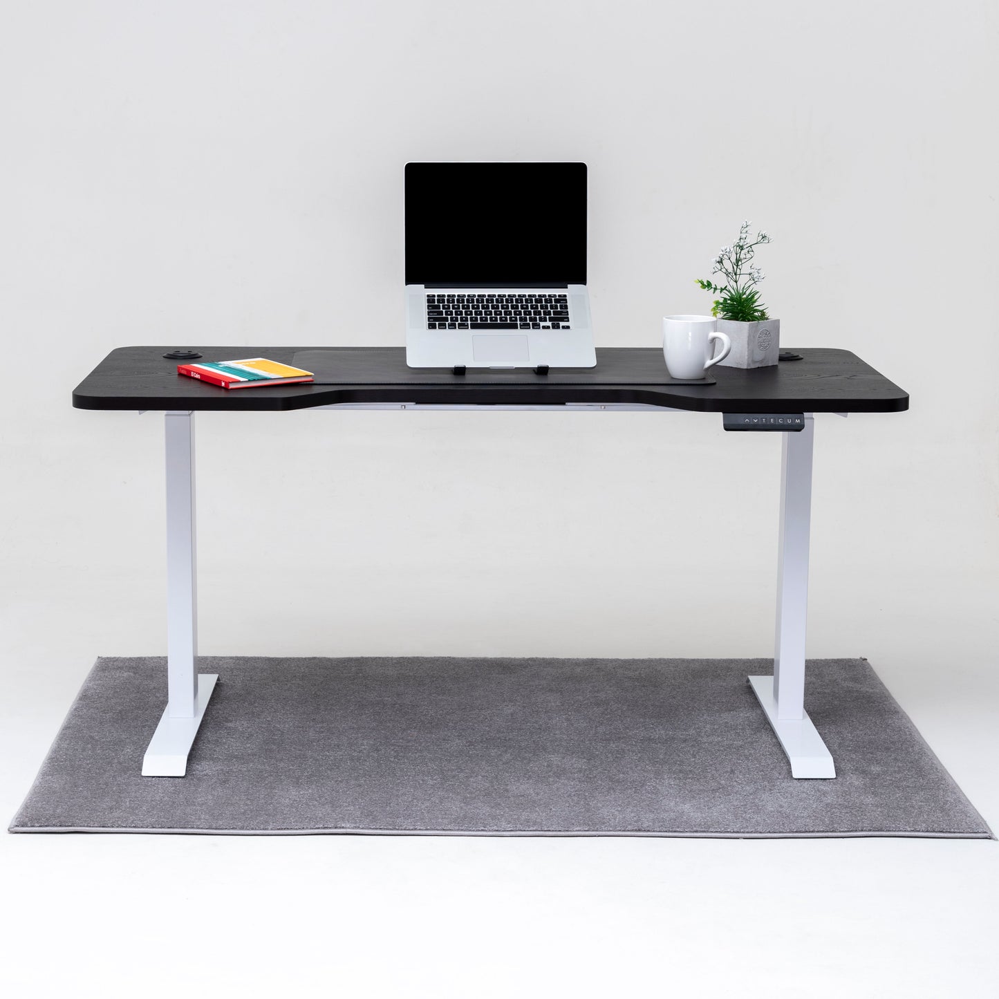 Standing Desk TECU PRO+