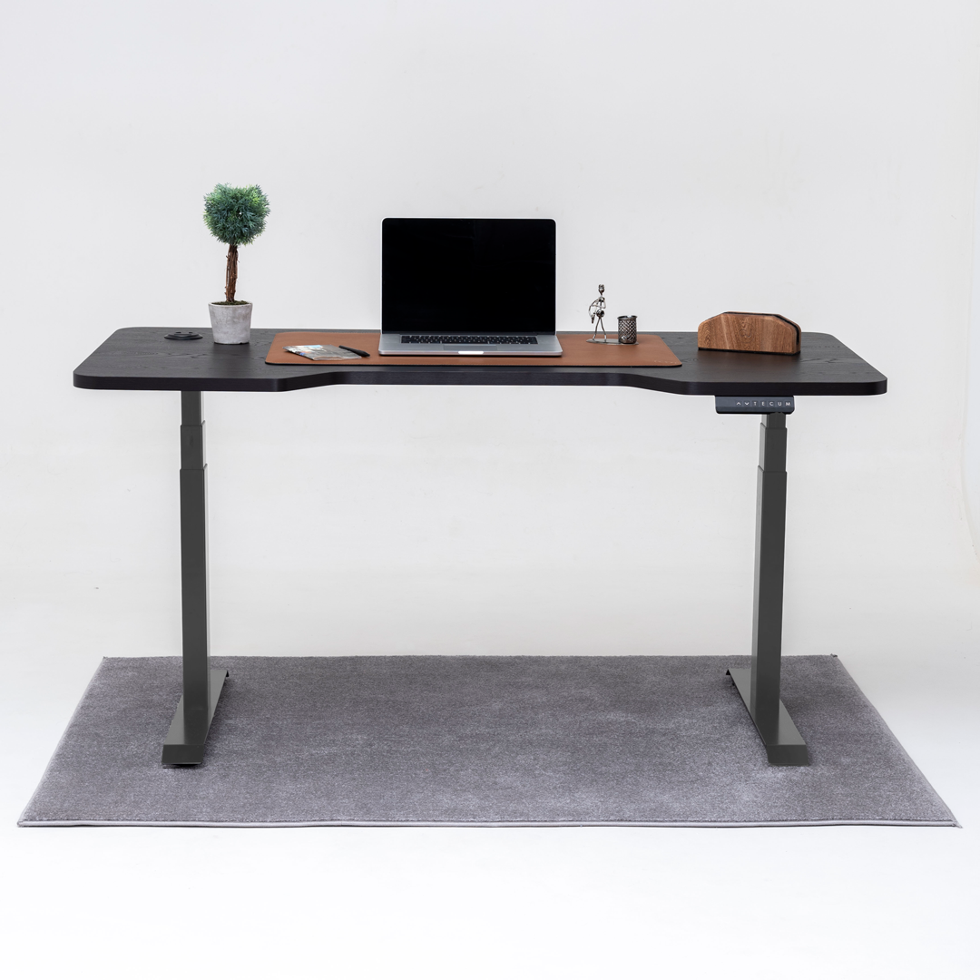 Standing Desk TECU PRO+