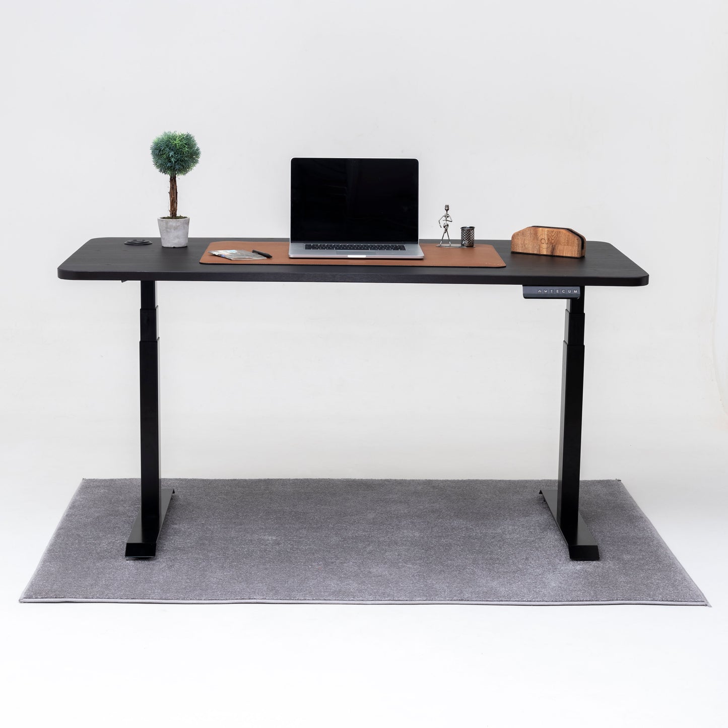 Standing Desk TECU PRO