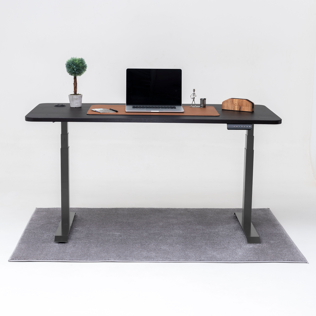 Standing Desk TECU PRO+