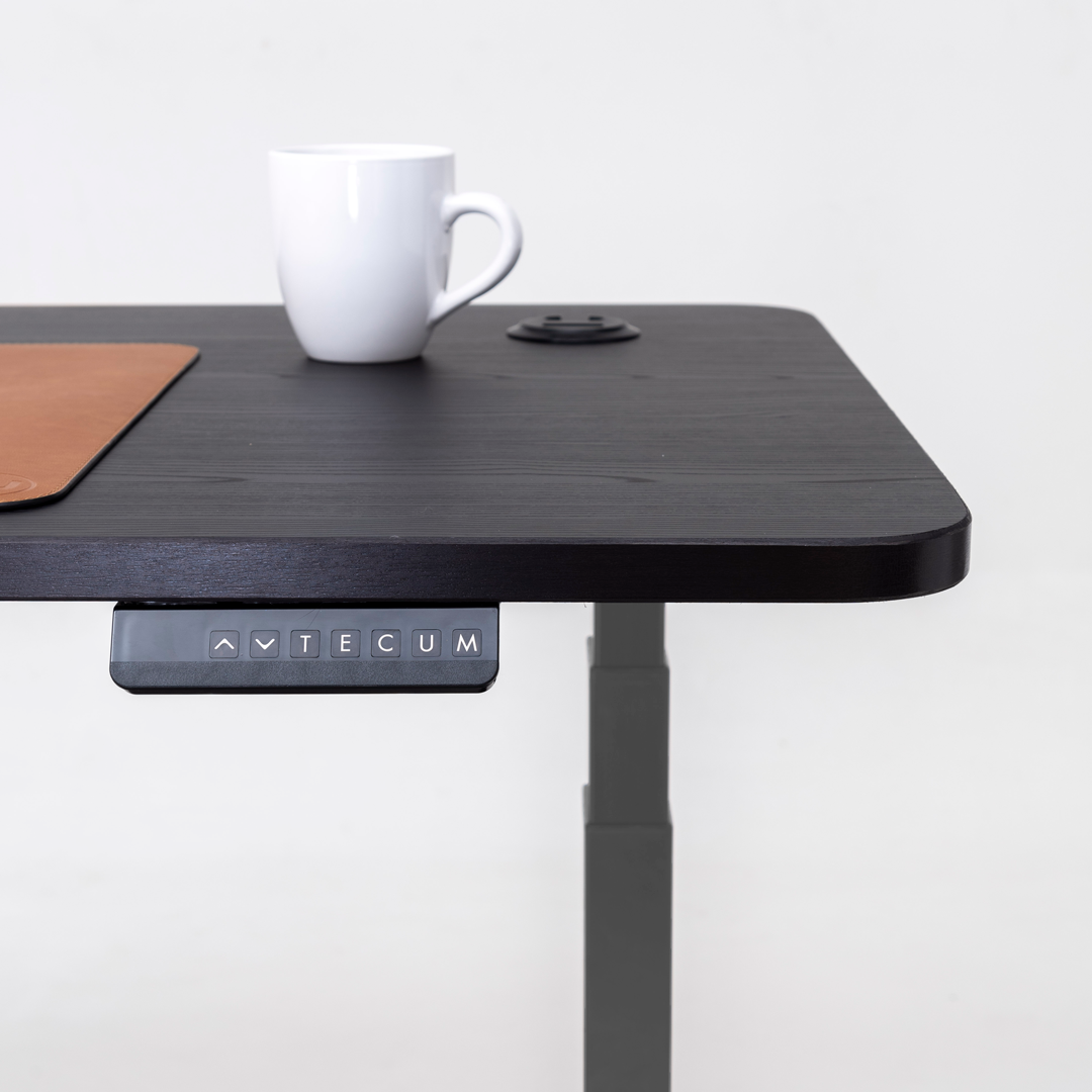 Standing Desk TECU PRO