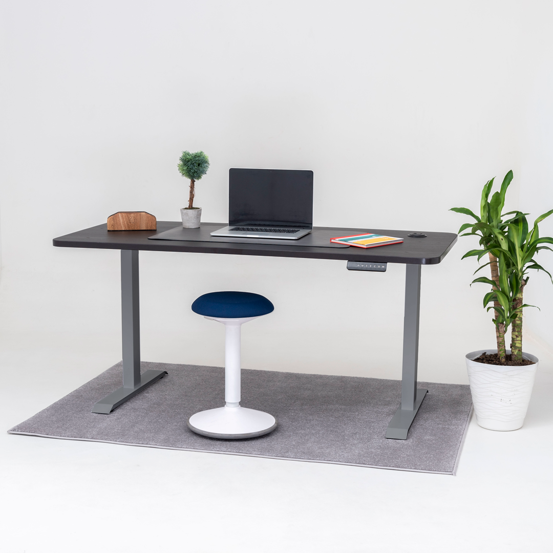 Standing Desk TECU PRO+