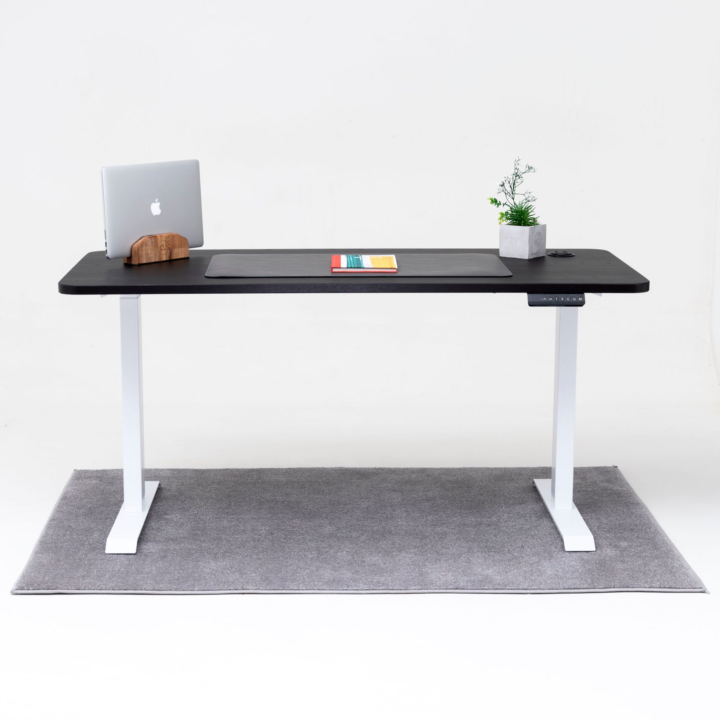 Standing Desk TECU PRO