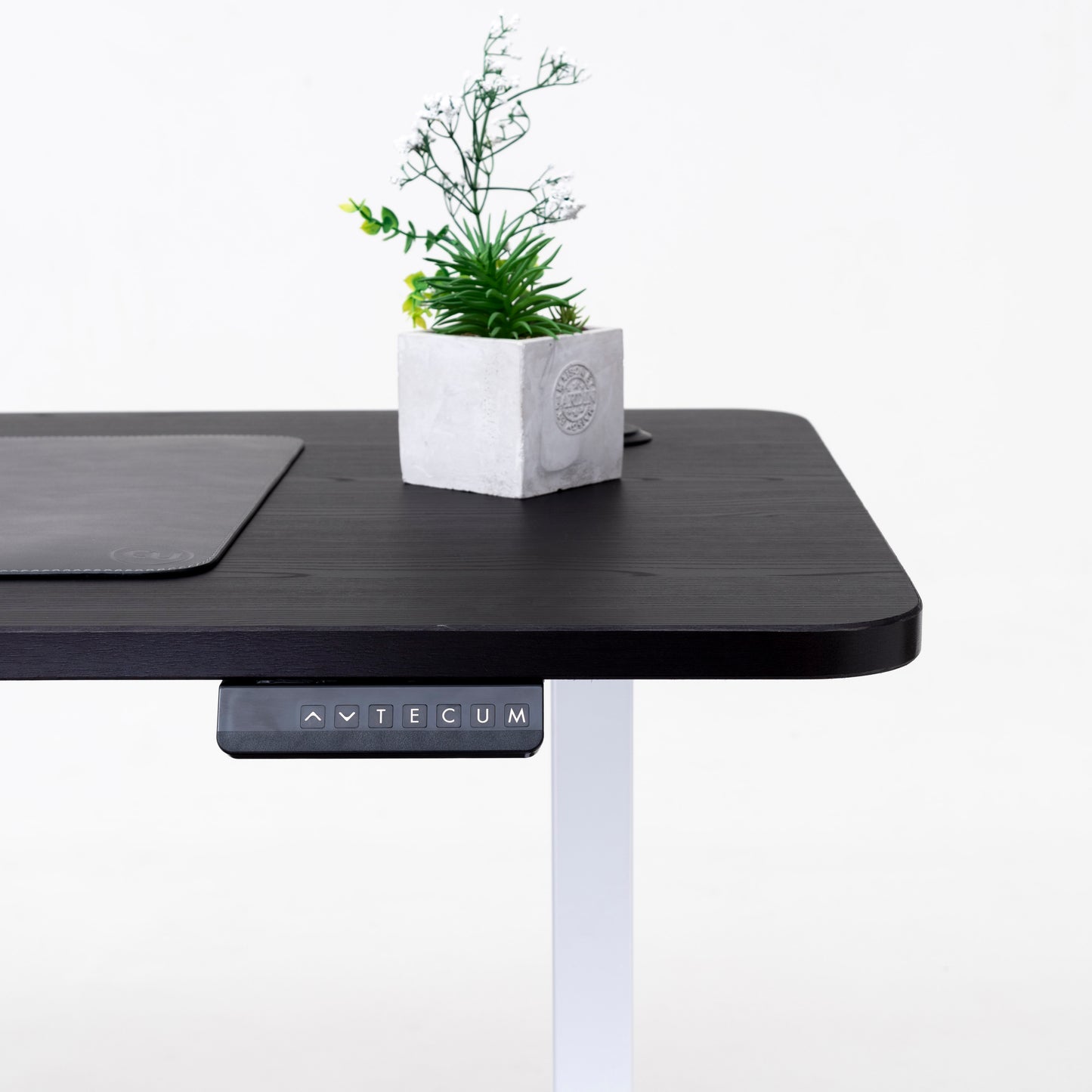 Standing Desk TECU PRO