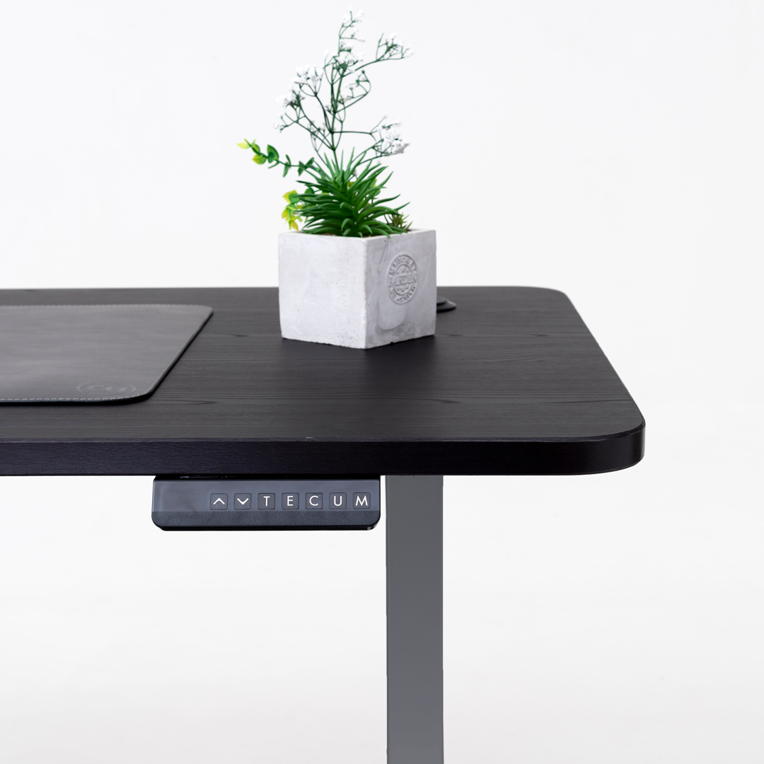 Standing Desk TECU PRO