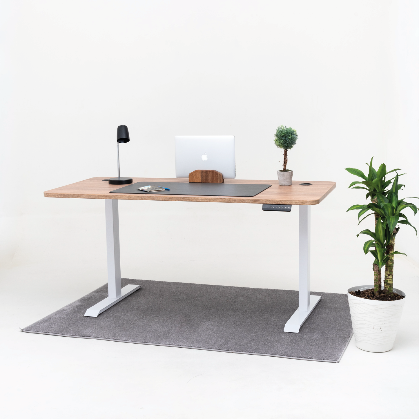 Standing Desk TECU PRO