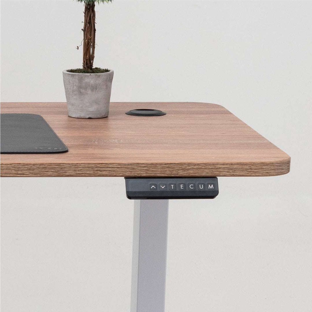 Standing Desk TECU PRO