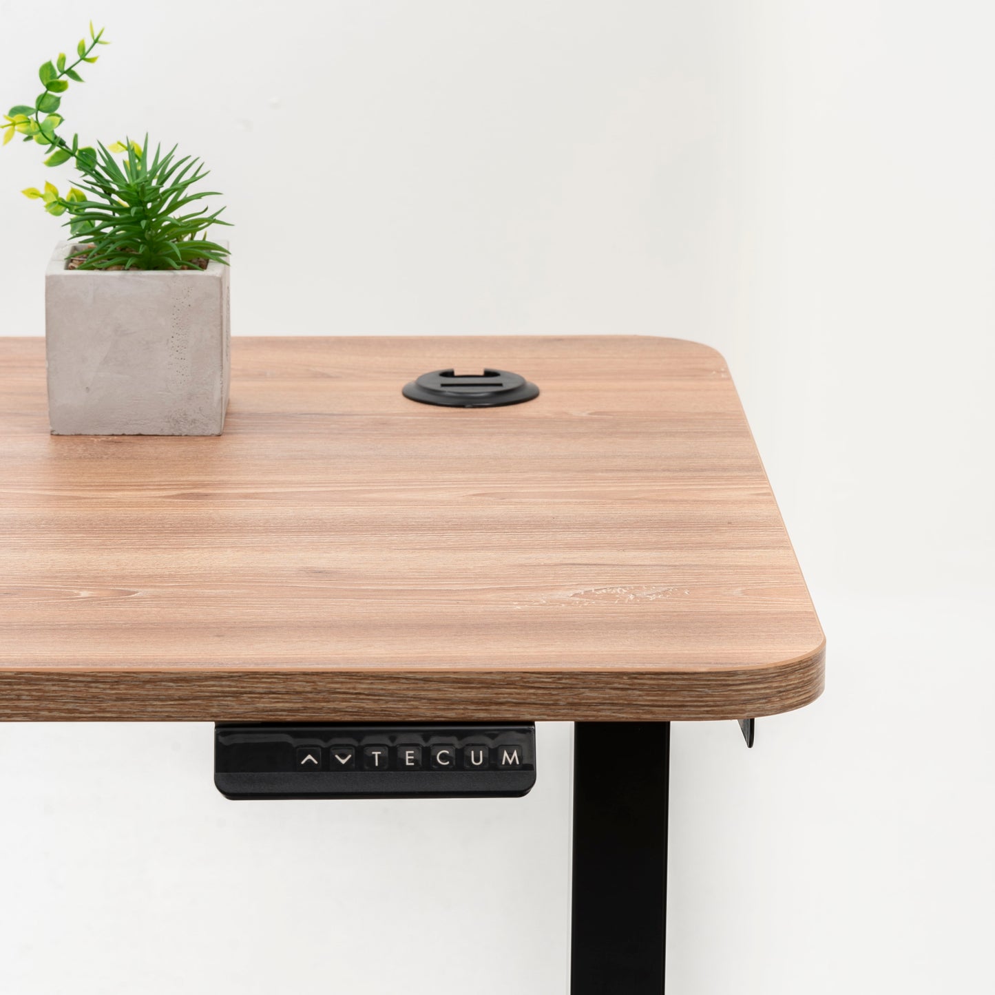 Standing Desk TECU PRO