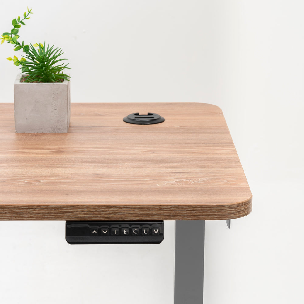 Standing Desk TECU PRO