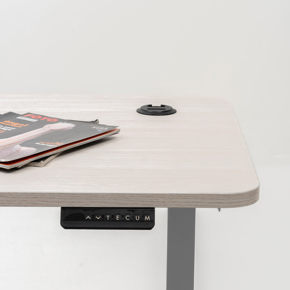 Standing Desk TECU PRO