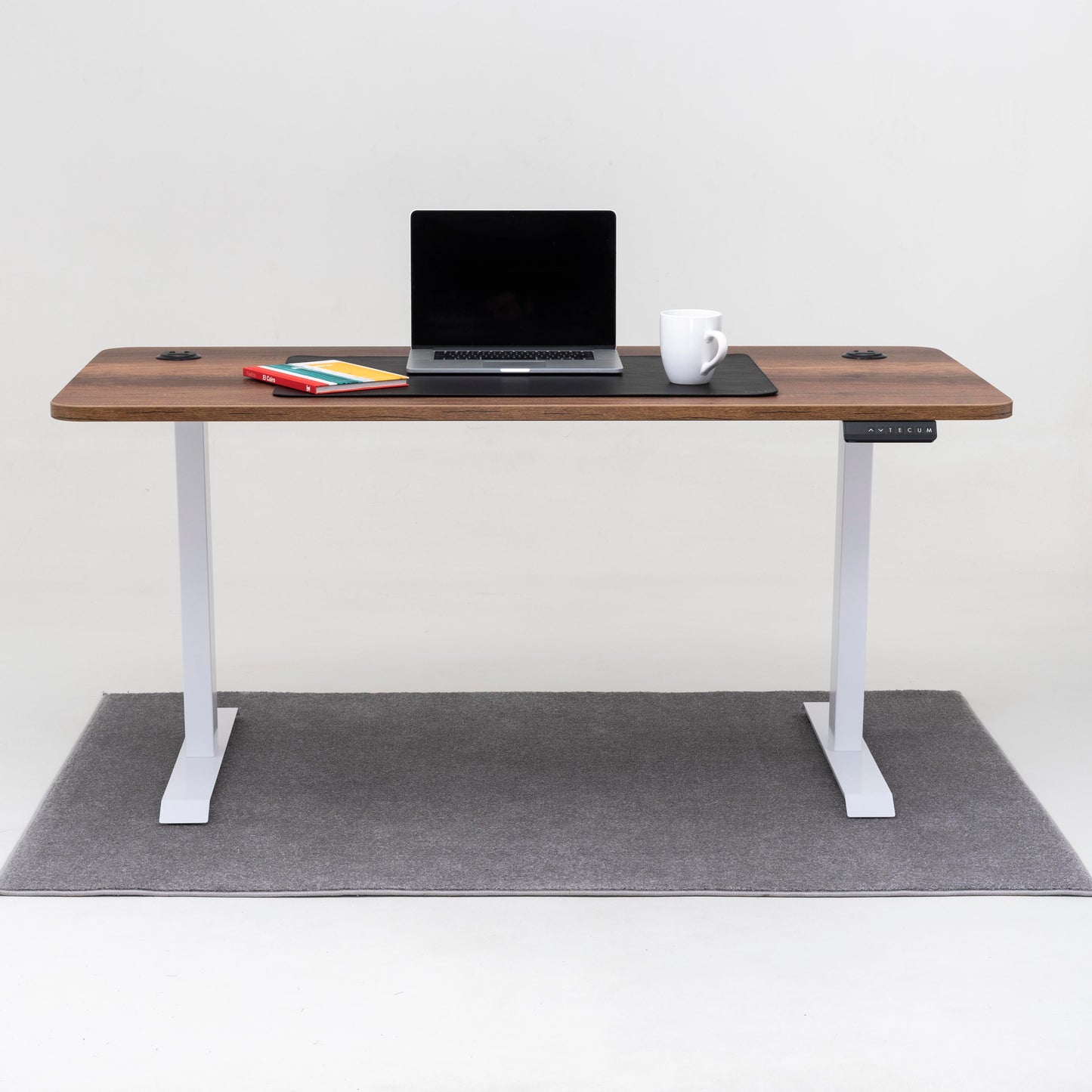 Standing Desk TECU PRO