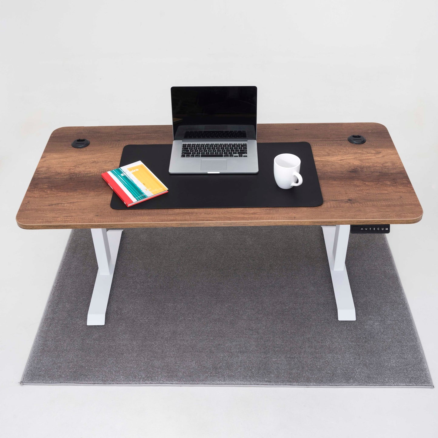 Standing Desk TECU PRO