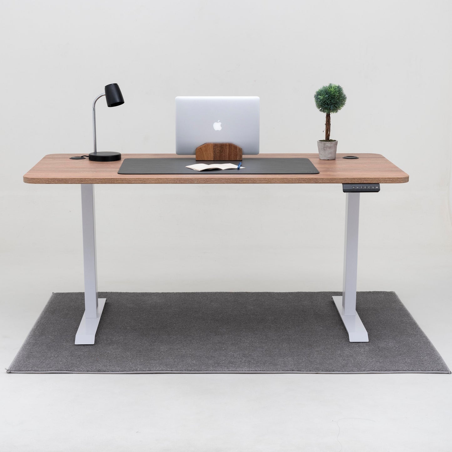 Standing Desk TECU PRO