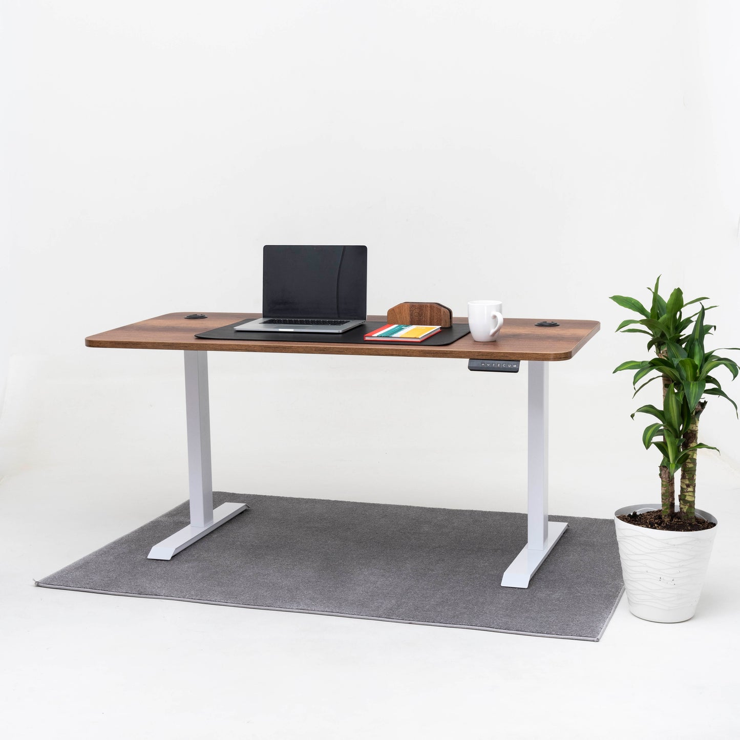 Standing Desk TECU PRO