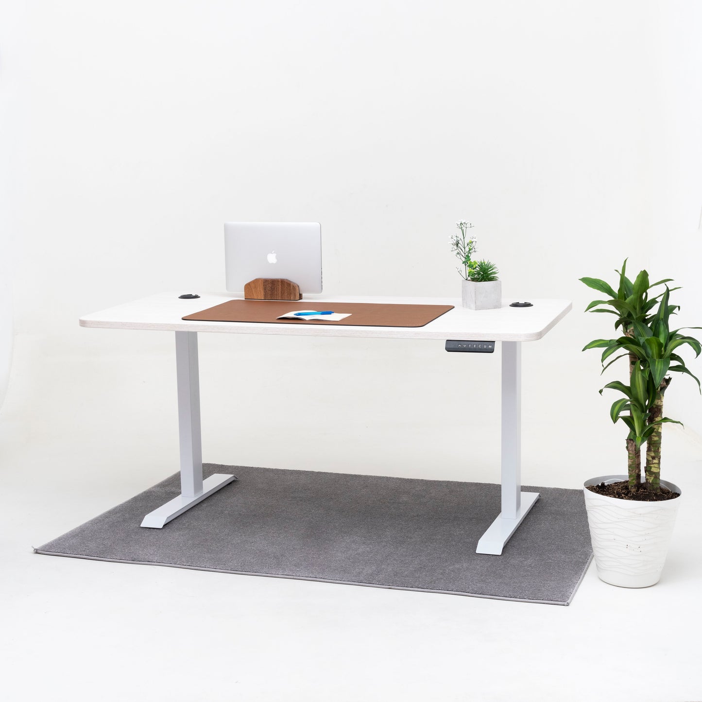 Standing Desk TECU PRO